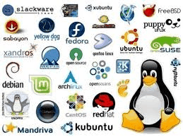 encuesta mejor distribución GNU/Linux